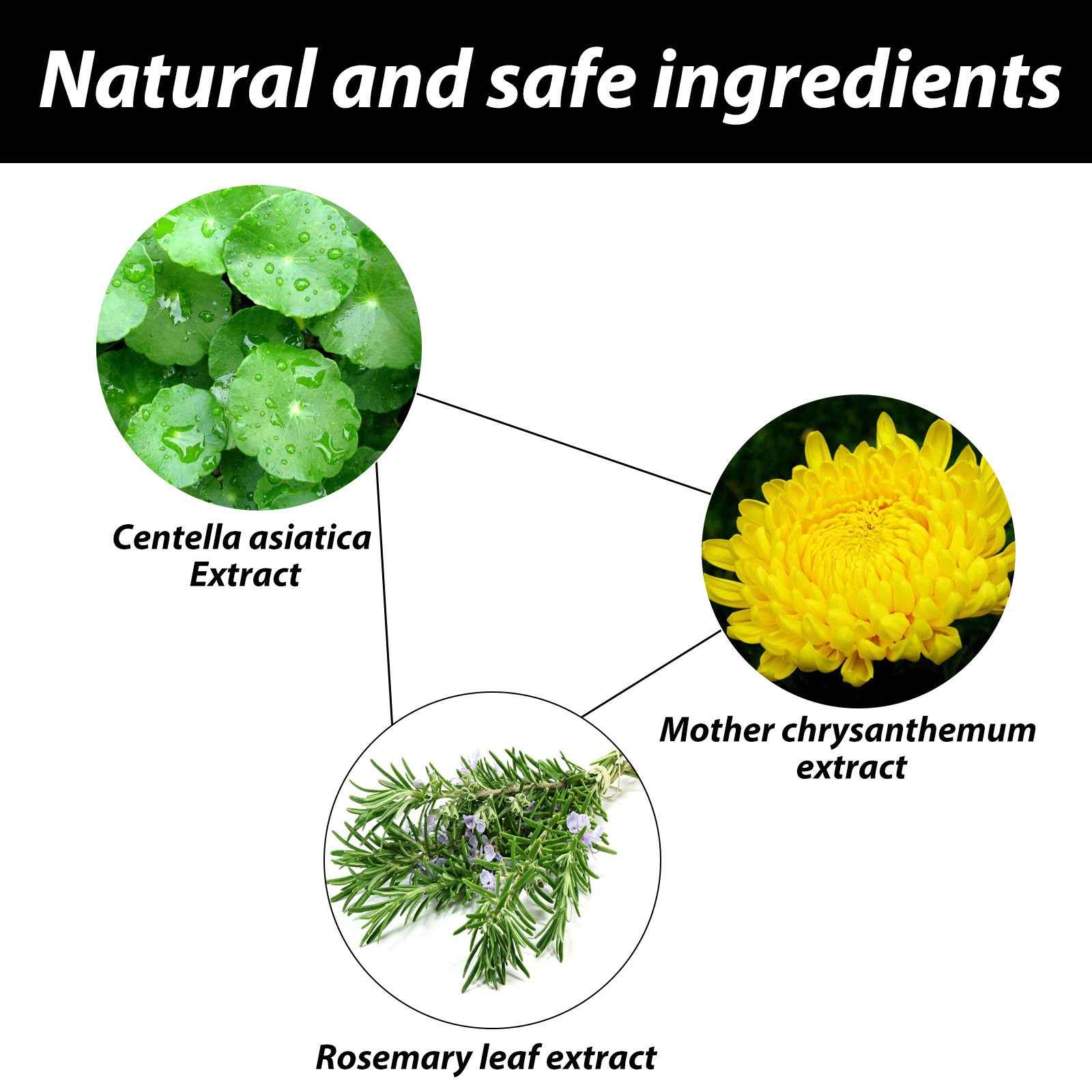 EELHOE Men’s Vegetarian Cream – Non-Greasy Concealer for Acne Marks & Brightened Complexion