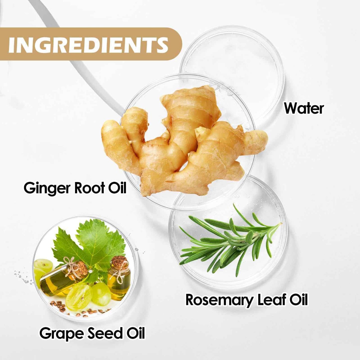 EELHOE BeardFuel Care Oil – Strengthen, Hydrate & Add Shine for a Healthier Beard